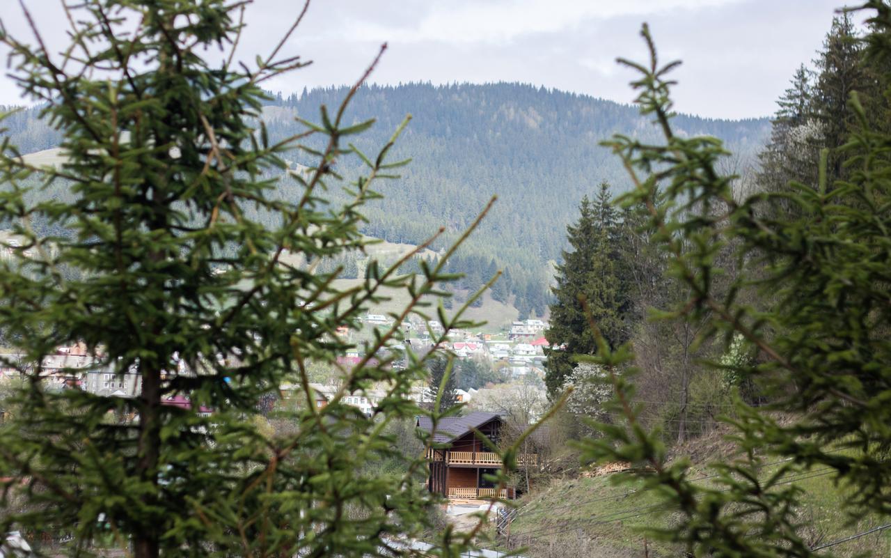Karpatska Oselia Villa Verchovyna Exteriör bild