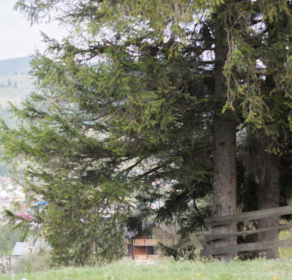 Karpatska Oselia Villa Verchovyna Exteriör bild