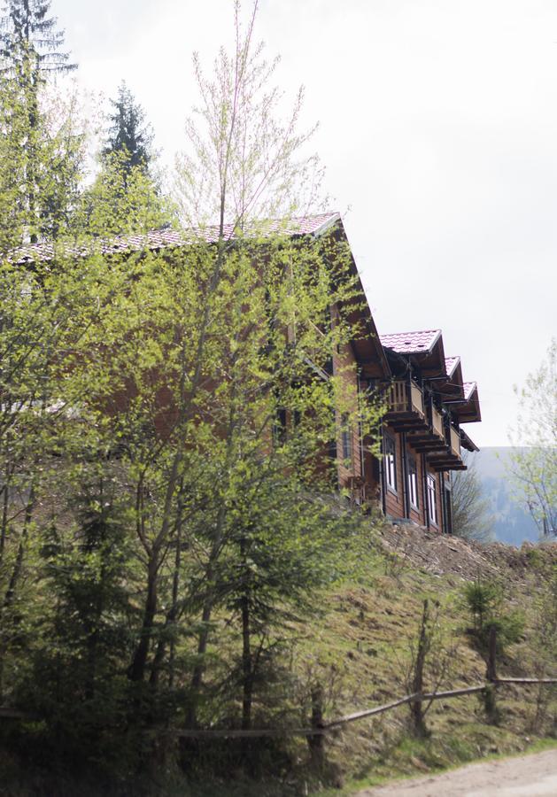 Karpatska Oselia Villa Verchovyna Exteriör bild