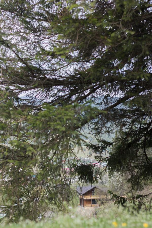 Karpatska Oselia Villa Verchovyna Exteriör bild