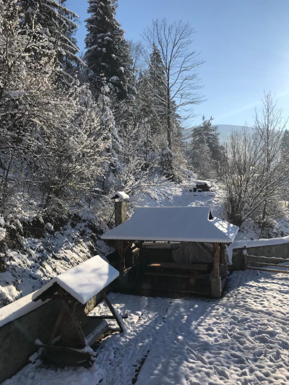Karpatska Oselia Villa Verchovyna Exteriör bild