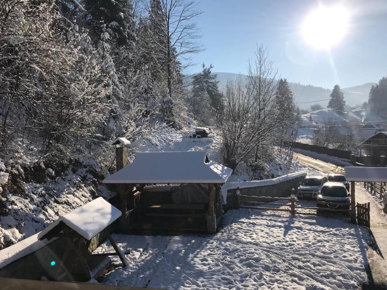 Karpatska Oselia Villa Verchovyna Exteriör bild